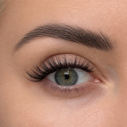 All Eyes Here (LUX Range)